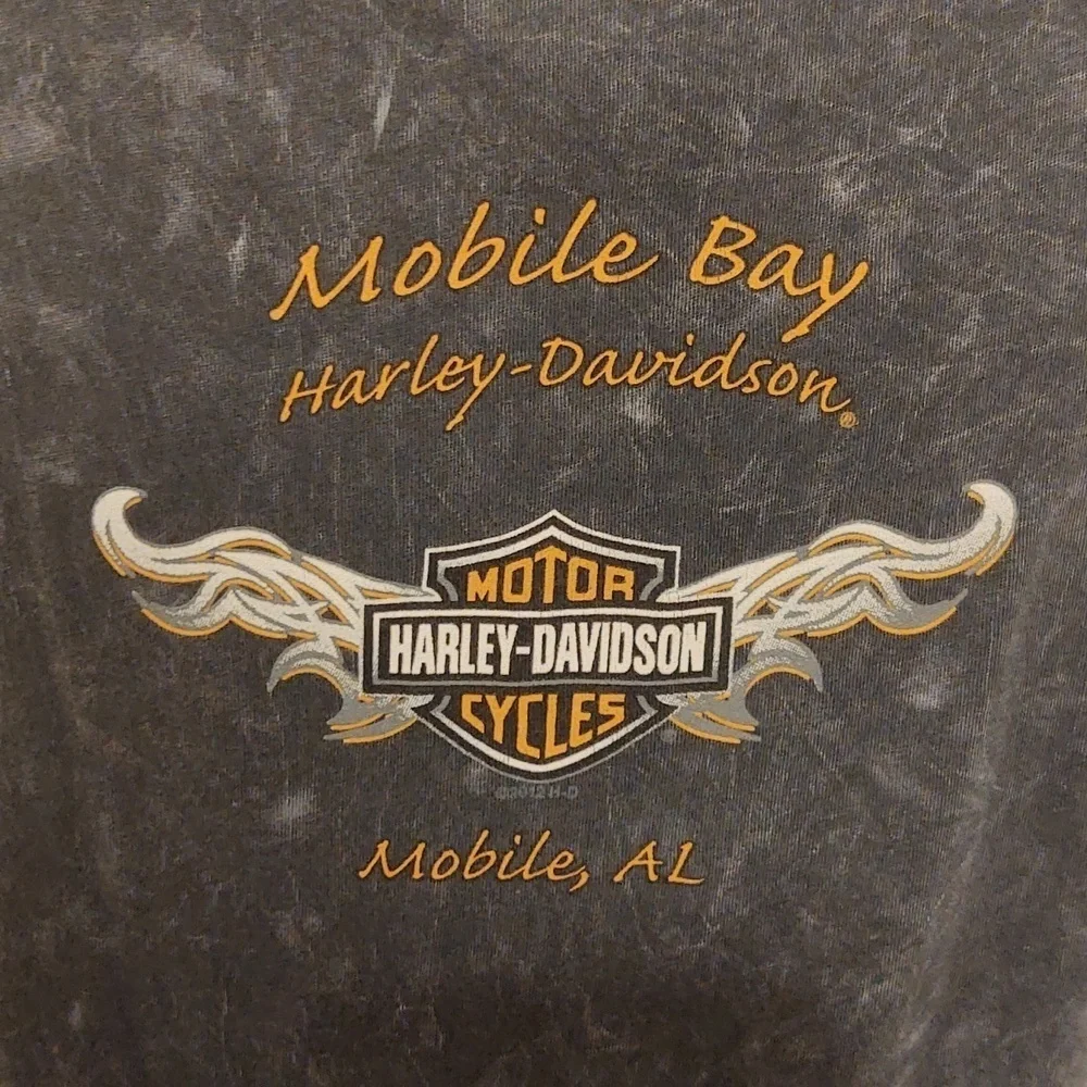 Harley Davidson Women's Short Sleeve TShirt - Picture 4 of 9